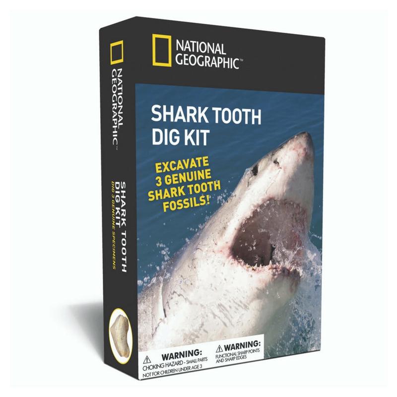 National Geographic - Shark Tooth Dig Kit