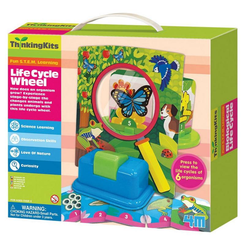 4M - Thinking Kits: Life Cycle Wheel