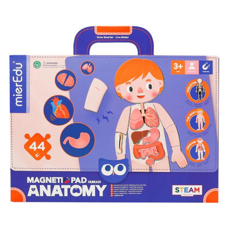mierEdu - Magnetic Pad Human Anatomy
